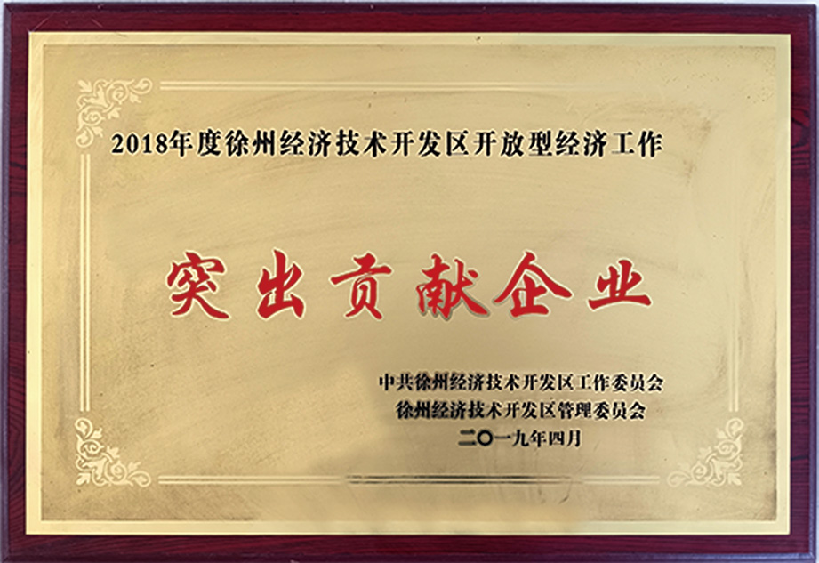 开放型经济突出贡献企业